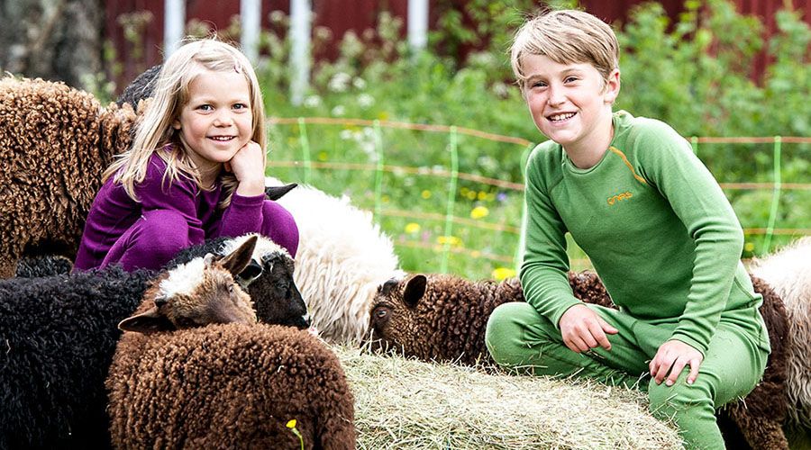 barn i underställ från Gneis